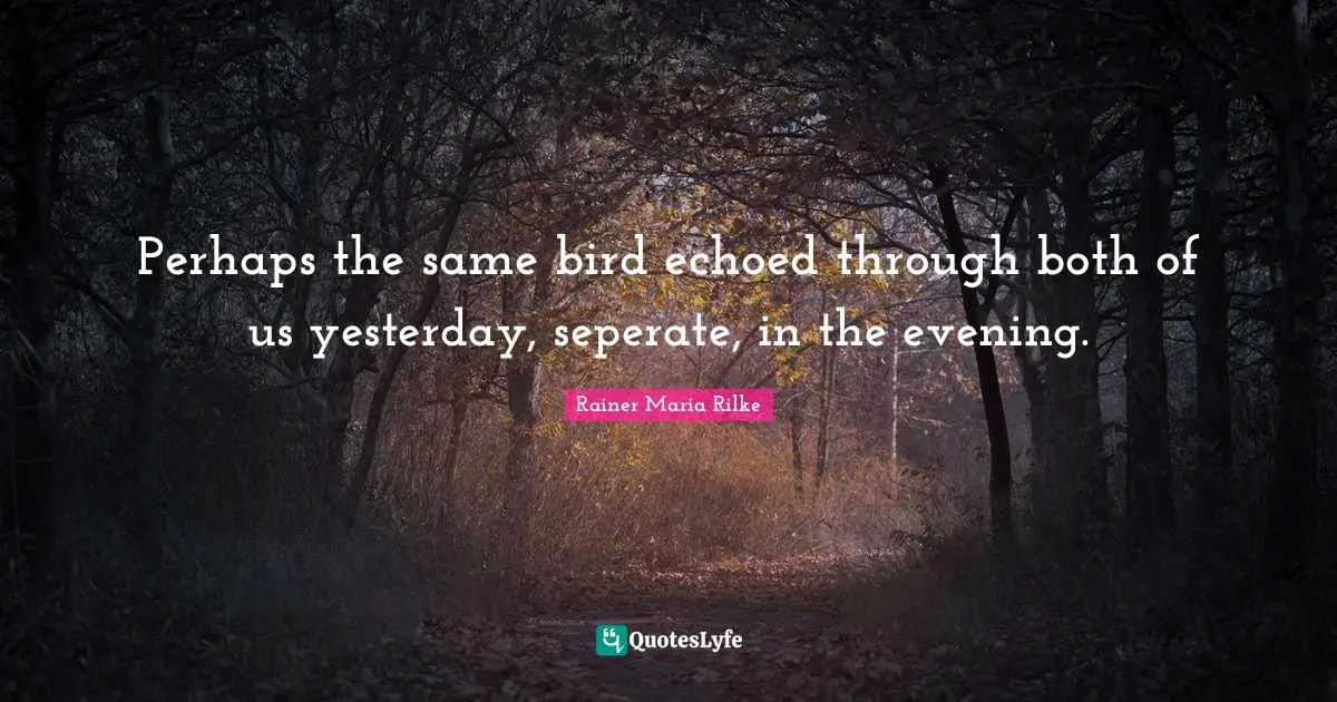 Perhaps the same bird echoed through both of us yesterday, seperate, in the evening.