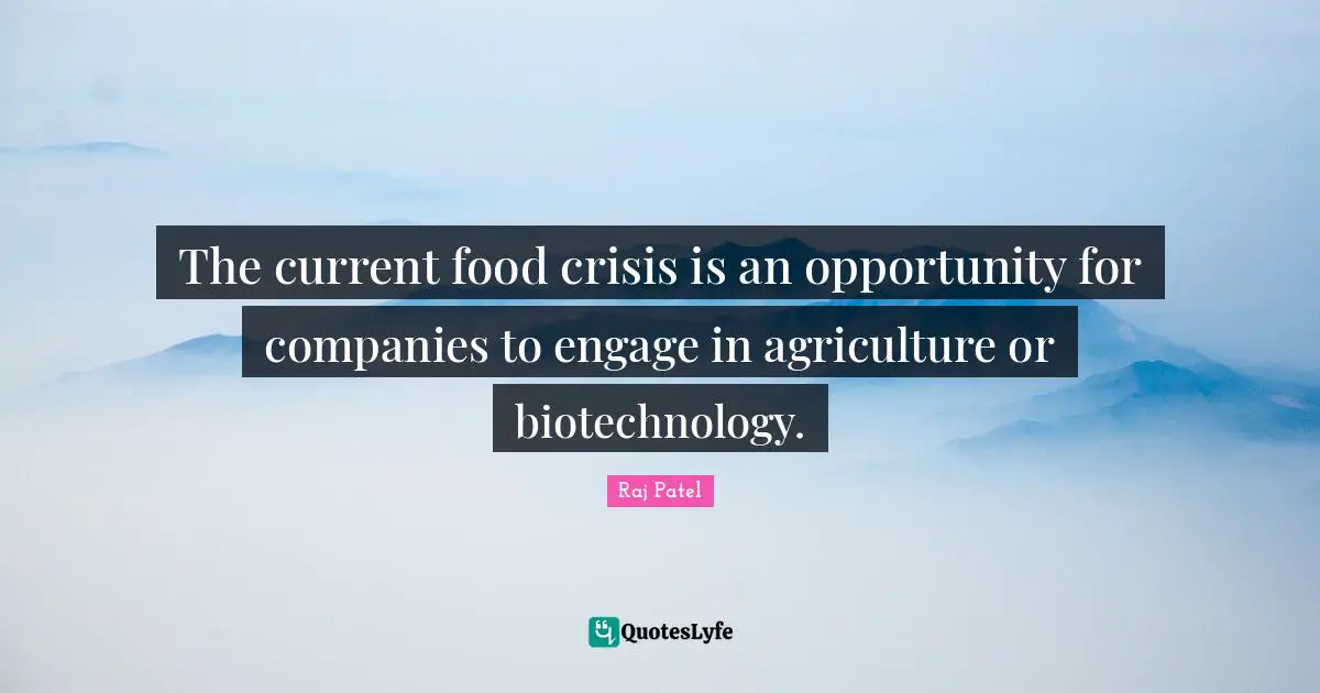 Raj Patel Quotes: "The current food crisis is an opportunity for companies to engage in agriculture or biotechnology."