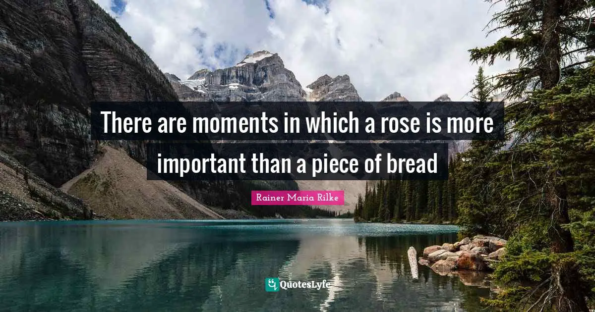 There are moments in which a rose is more important than a piece of bread