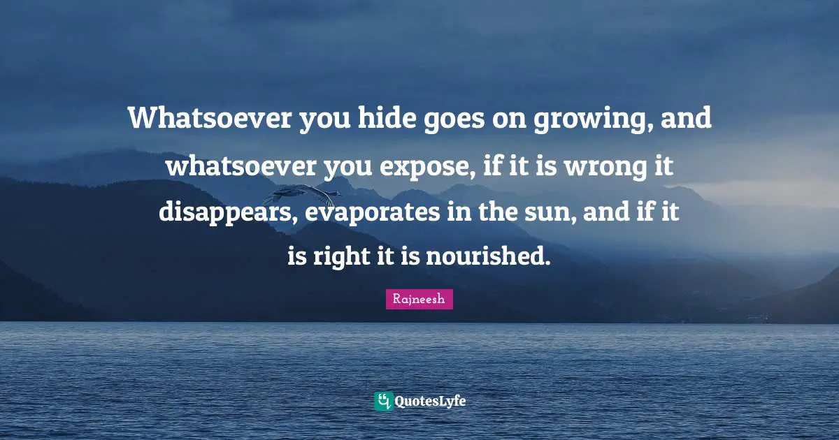 Whatsoever you hide goes on growing, and whatsoever you expose, if it is wrong it disappears, evaporates in the sun, and if it is right it is nourished.