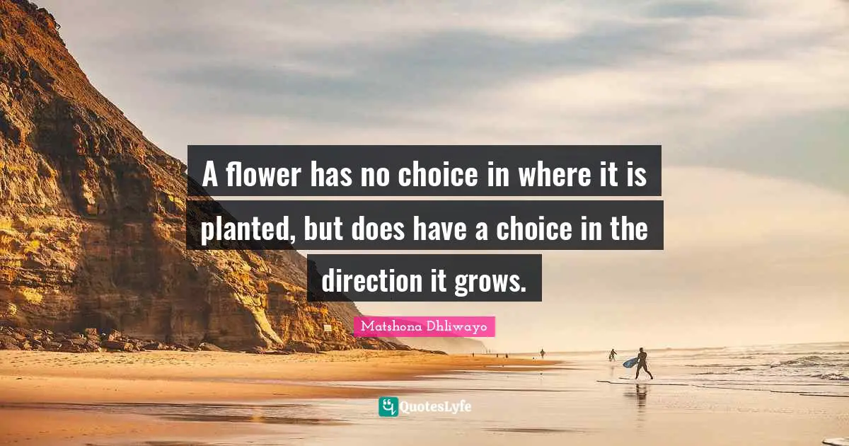A flower has no choice in where it is planted, but does have a choice in the direction it grows.