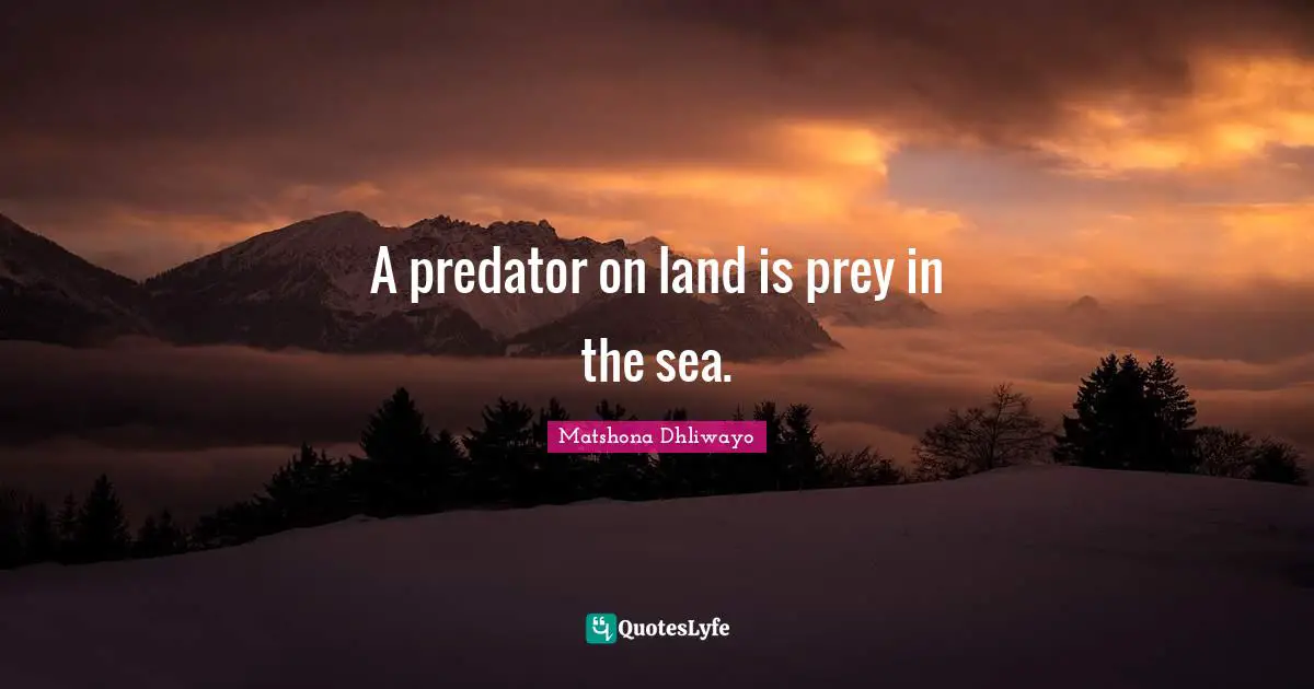 A predator on land is prey in the sea.
