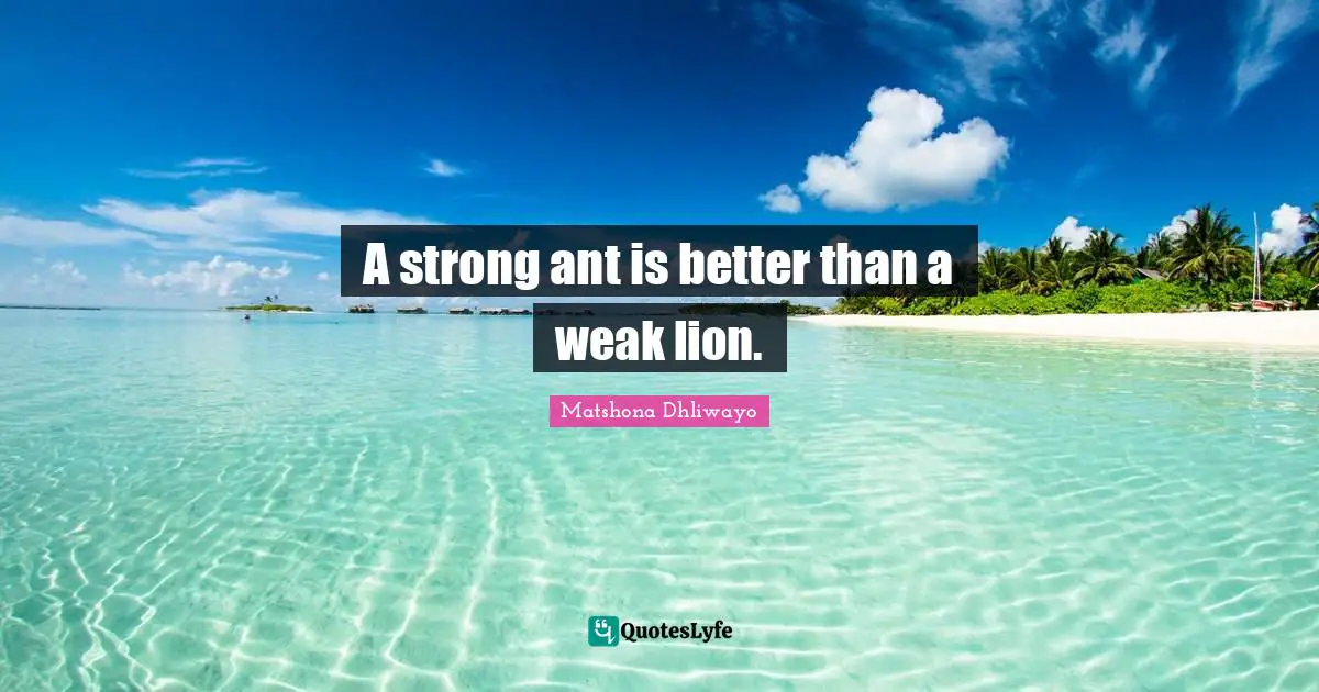 A strong ant is better than a weak lion.