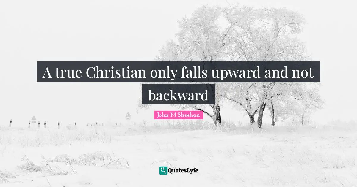 John M Sheehan Quotes: A true Christian only falls upward and not backward