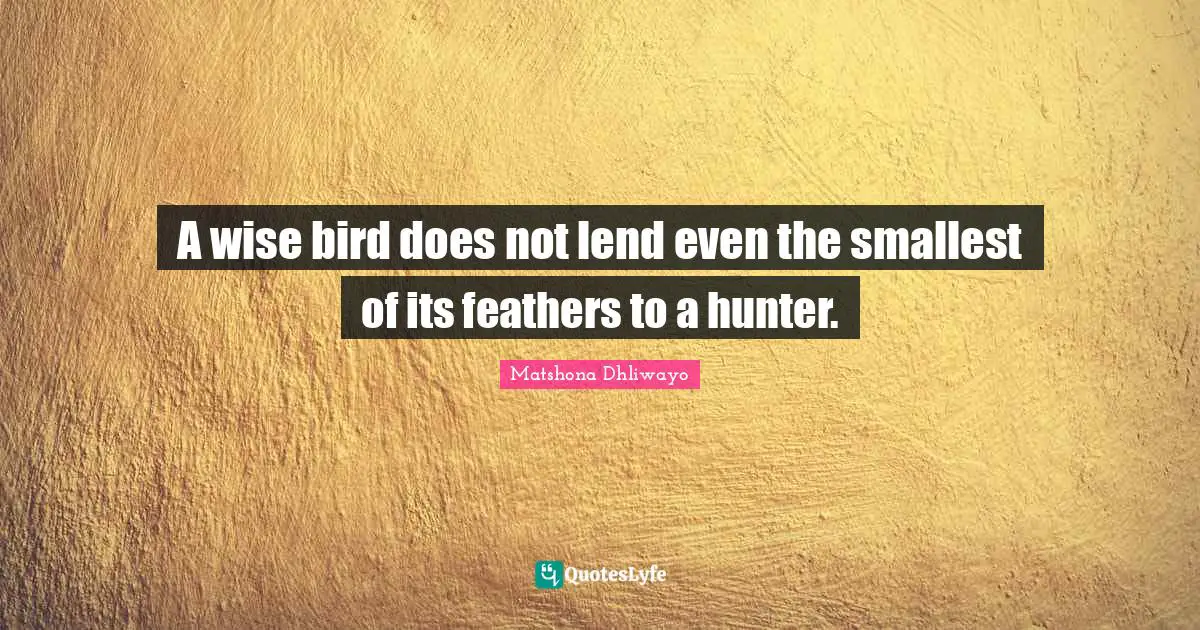 A wise bird does not lend even the smallest of its feathers to a hunter.