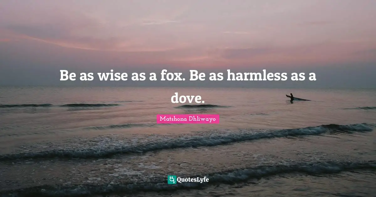Be as wise as a fox. Be as harmless as a dove.