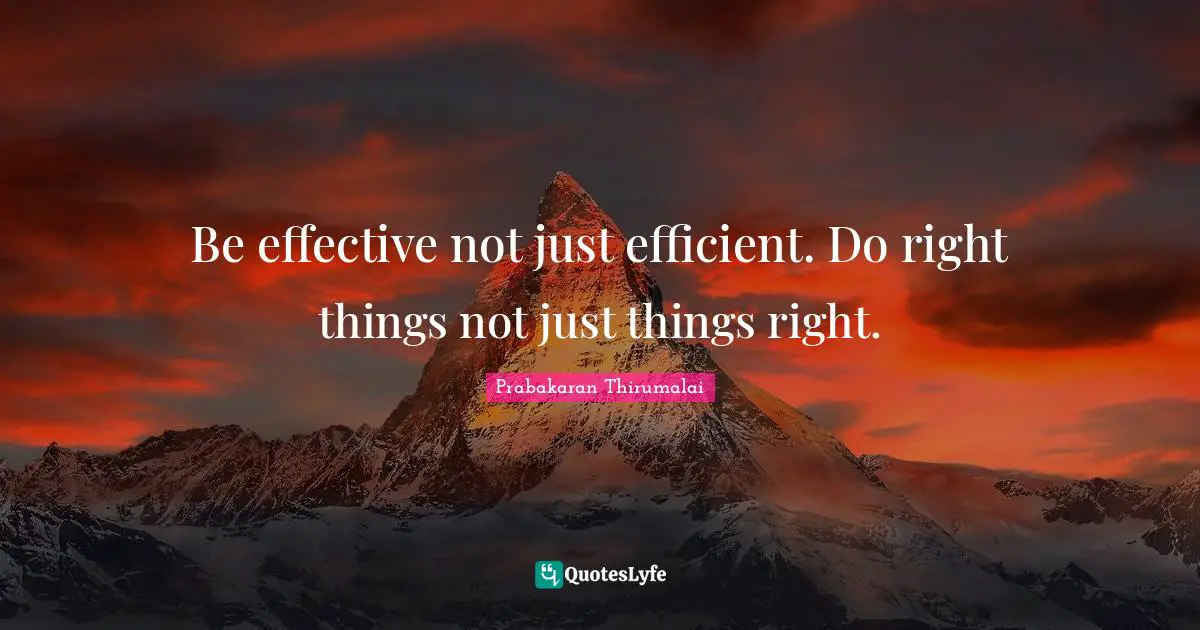Be effective not just efficient. Do right things not just things right.