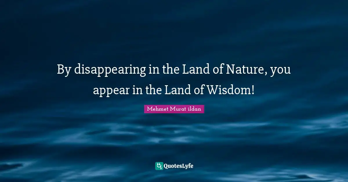 By disappearing in the Land of Nature, you appear in the Land of Wisdom!