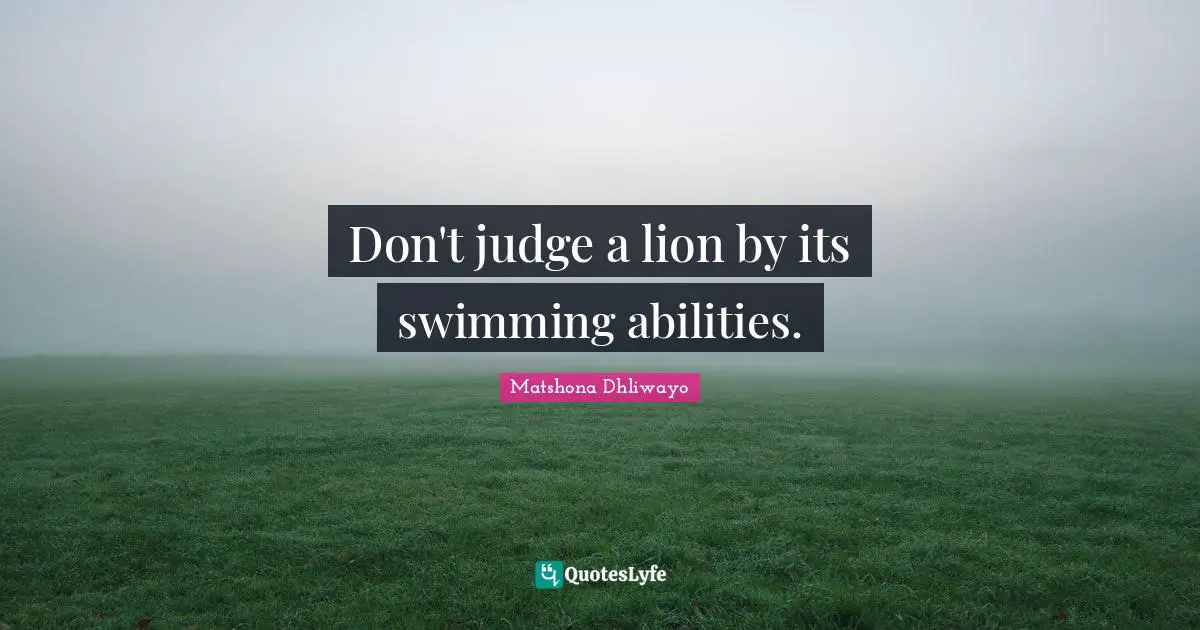 Matshona Dhliwayo Quotes: Don't judge a lion by its swimming abilities.