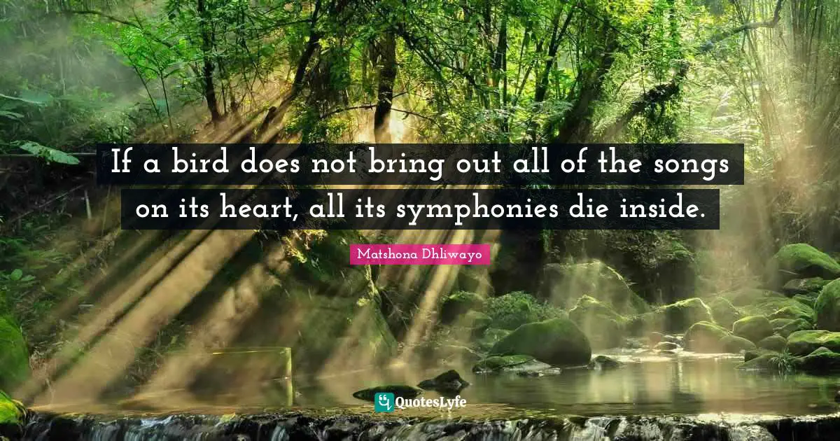 Highest Potential Quotes: "If a bird does not bring out all of the songs on its heart, all its symphonies die inside."