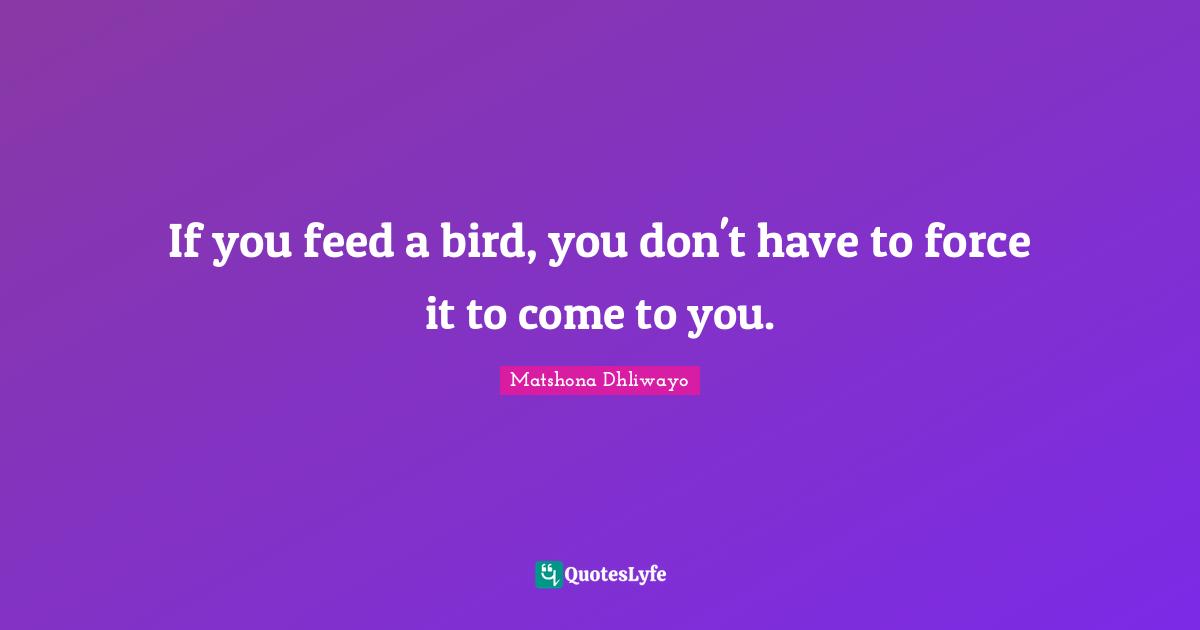 If you feed a bird, you don't have to force it to come to you.