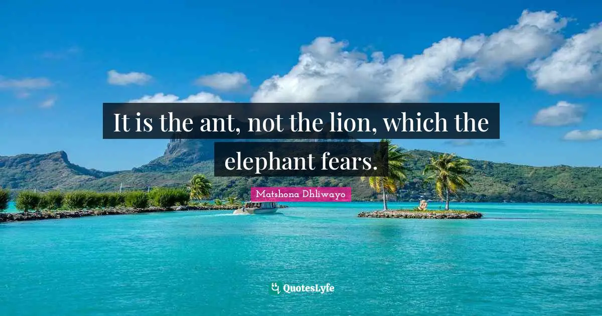 Matshona Dhliwayo Quotes: It is the ant, not the lion, which the elephant fears.