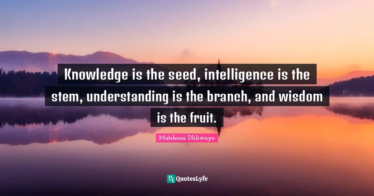 Knowledge is the seed, intelligence is the stem, understanding is the branch, and wisdom is the fruit.