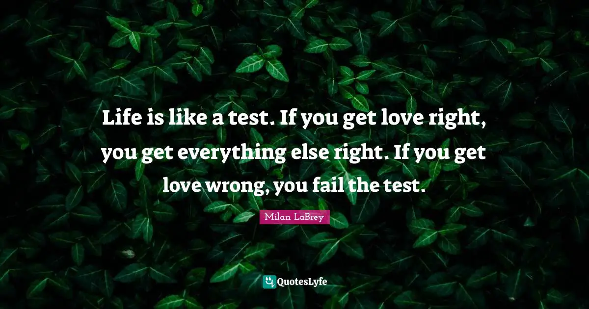 Life is like a test. If you get love right, you get everything else right. If you get love wrong, you fail the test.