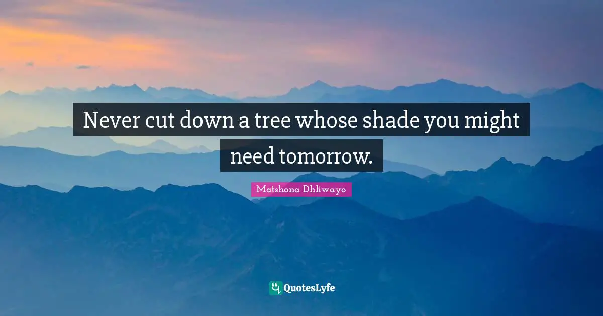 Never cut down a tree whose shade you might need tomorrow.