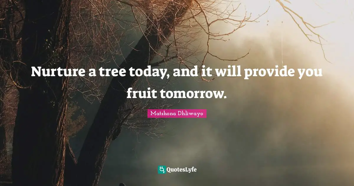 Nurture a tree today, and it will provide you fruit tomorrow.