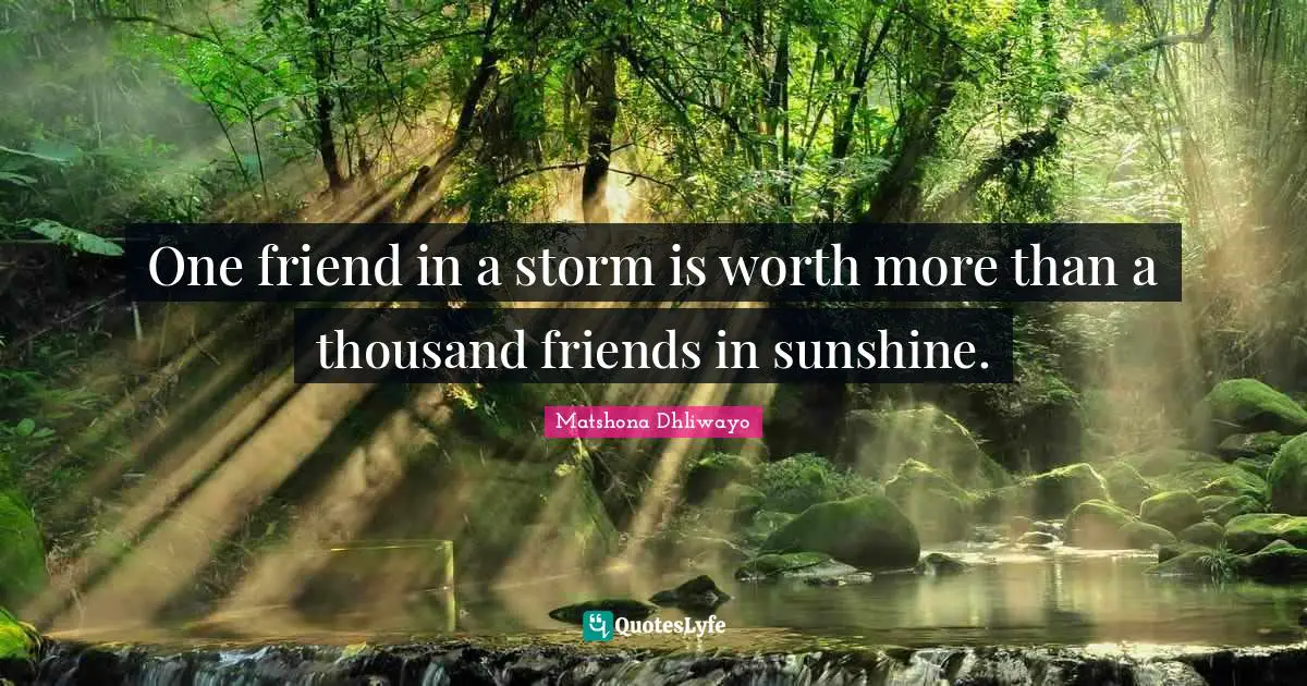 Matshona Dhliwayo Quotes: One friend in a storm is worth more than a thousand friends in sunshine.