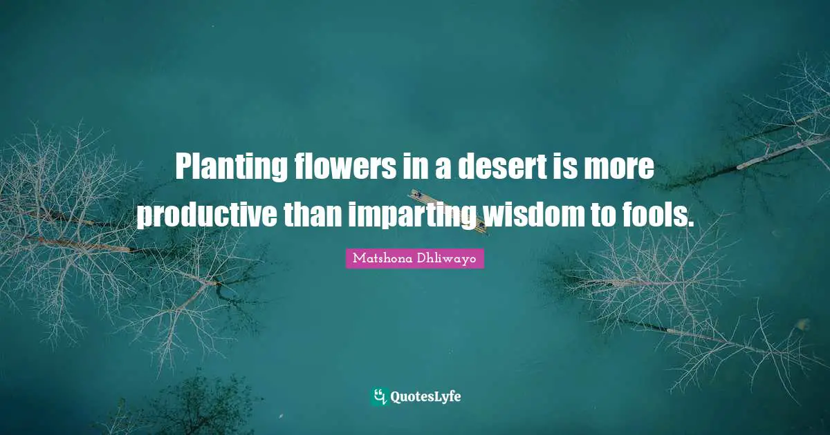Planting flowers in a desert is more productive than imparting wisdom to fools.