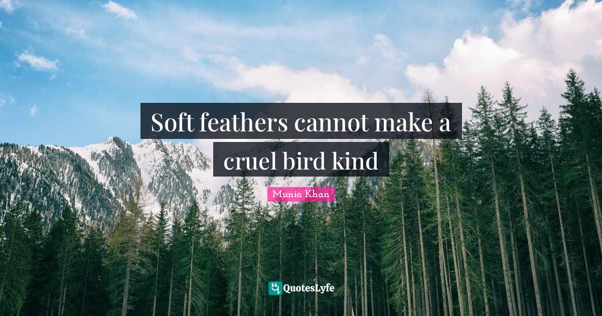 Soft feathers cannot make a cruel bird kind... Quote by Munia Khan