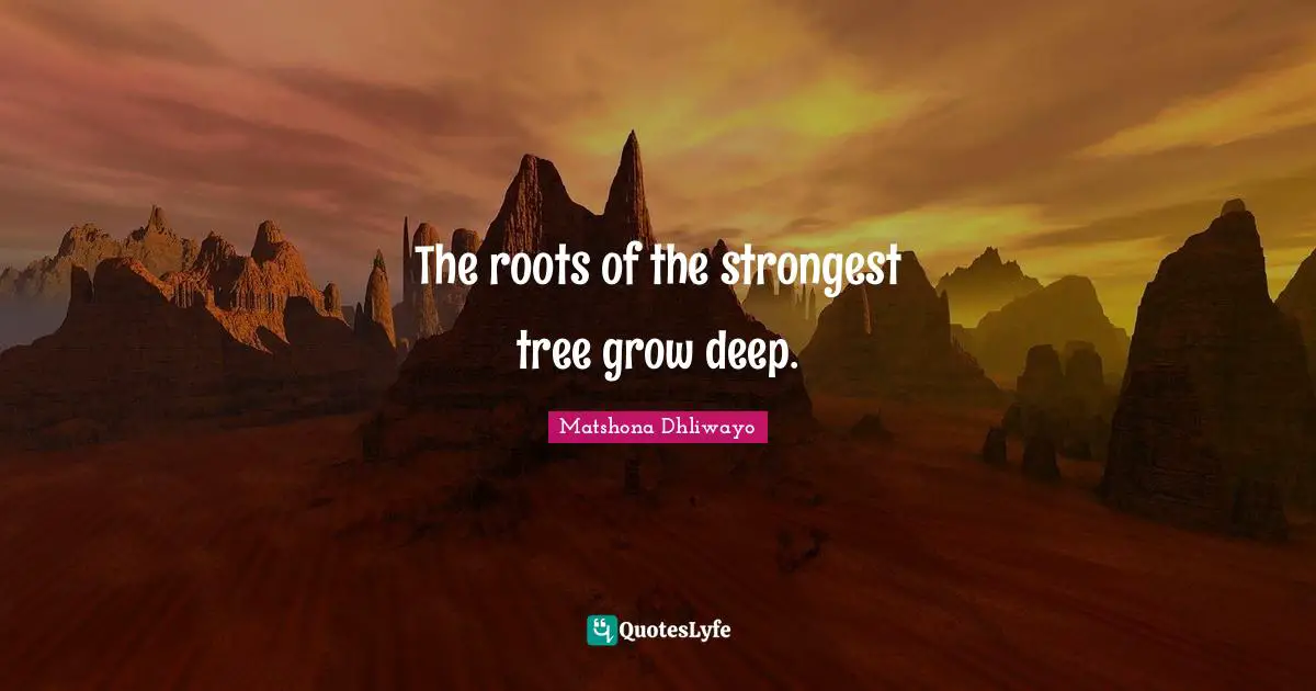 The roots of the strongest tree grow deep.