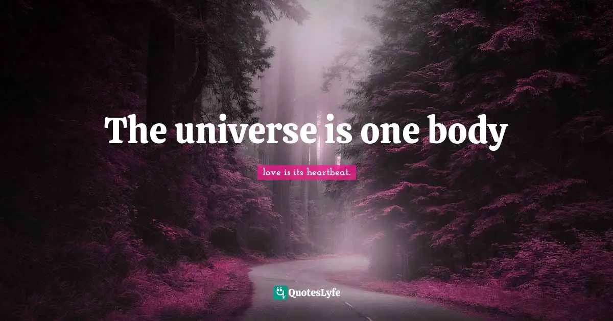 The universe is one body