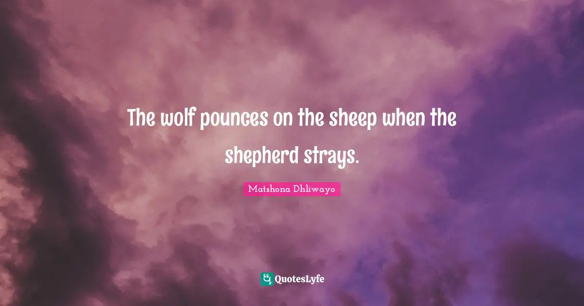 The wolf pounces on the sheep when the shepherd strays.