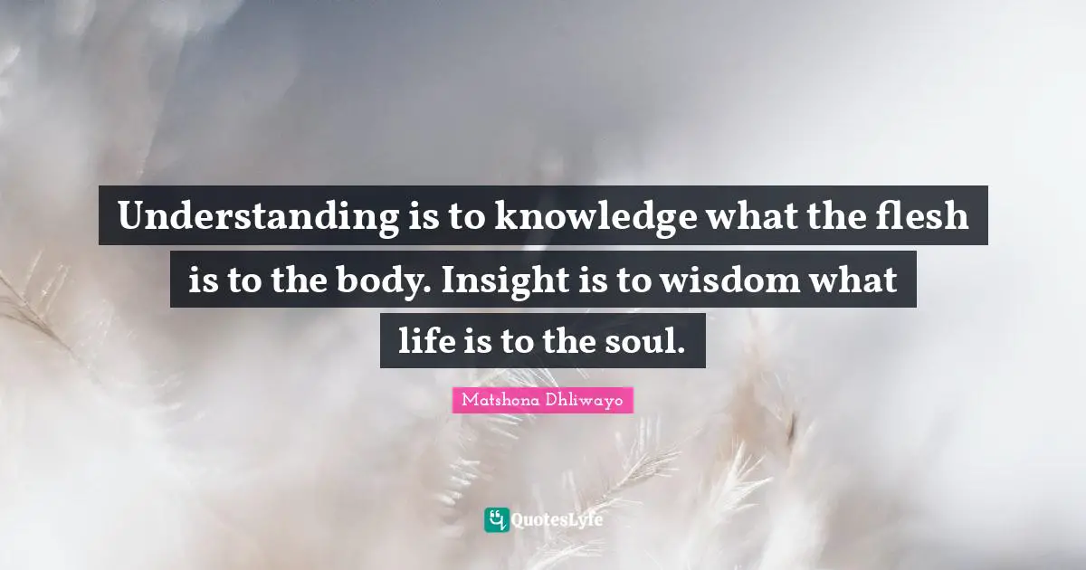 Understanding is to knowledge what the flesh is to the body. Insight is to wisdom what life is to the soul.