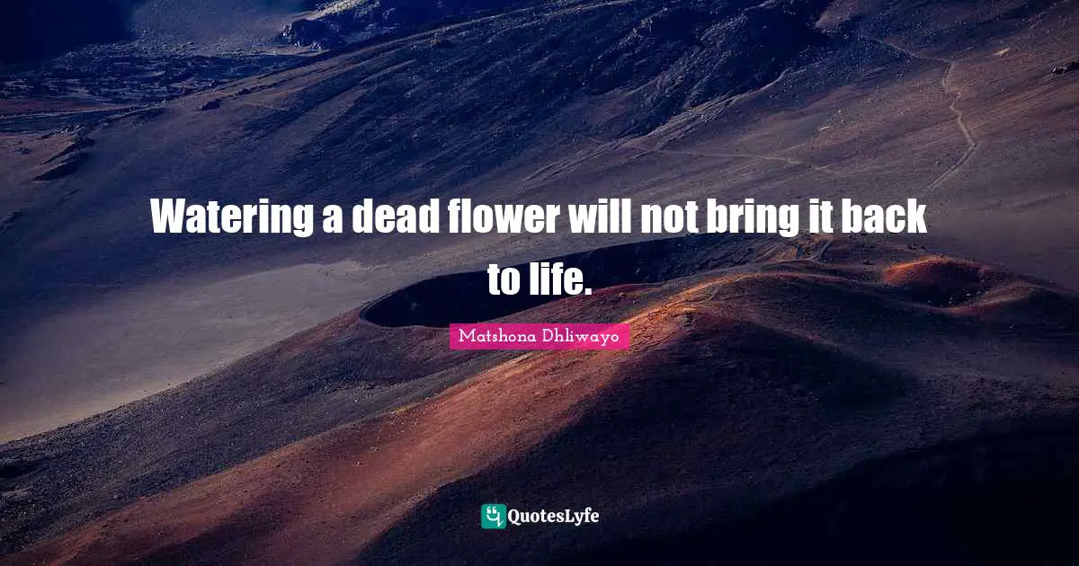 Watering a dead flower will not bring it back to life.