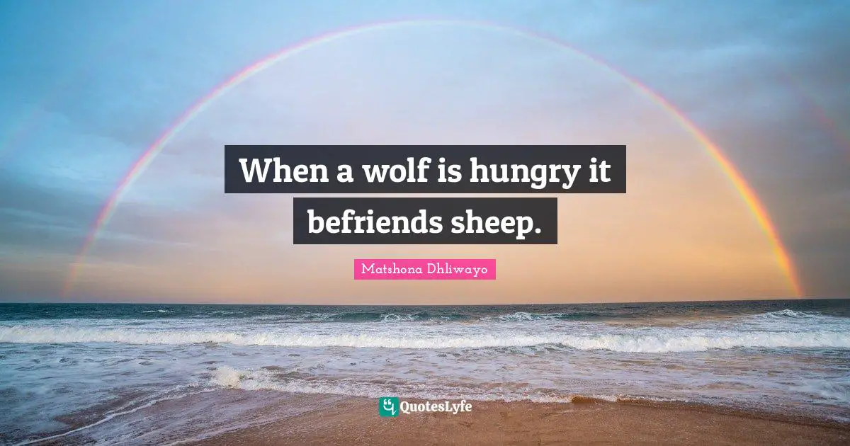 When a wolf is hungry it befriends sheep.