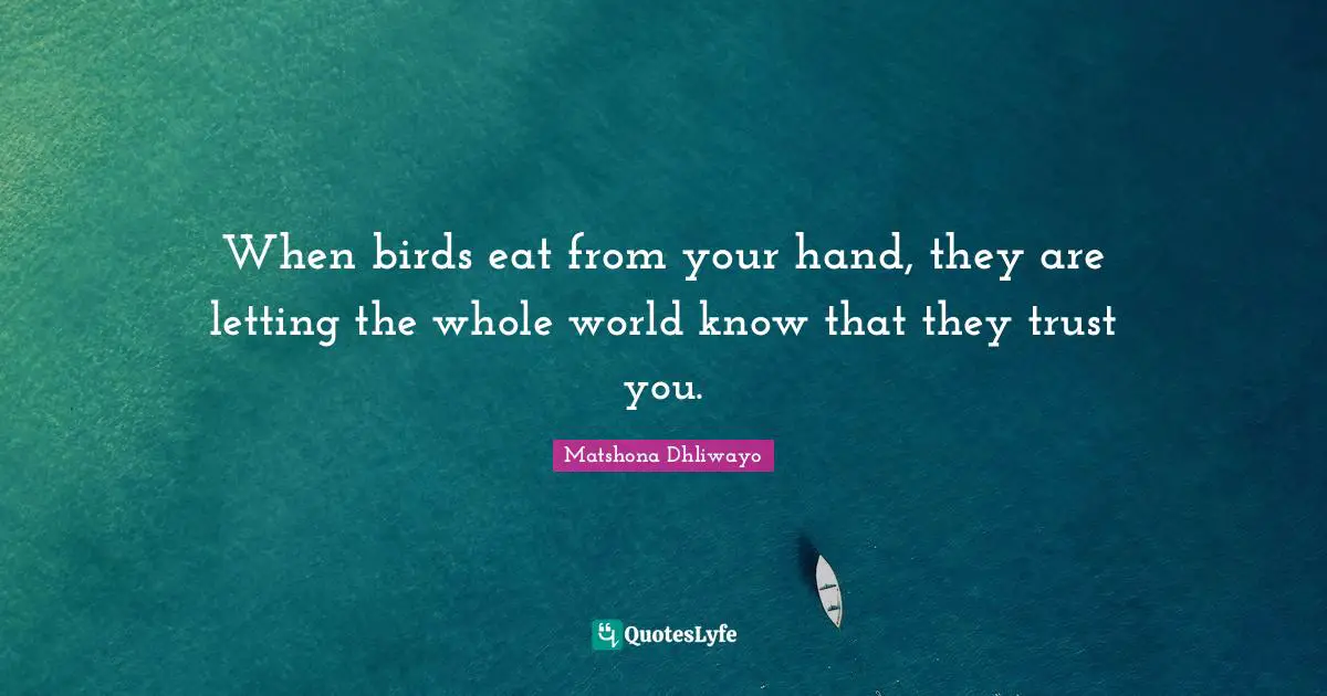 Sage Wisdom Quotes: "When birds eat from your hand, they are letting the whole world know that they trust you."