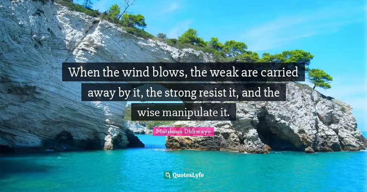 When the wind blows, the weak are carried away by it, the strong resist it, and the wise manipulate it.