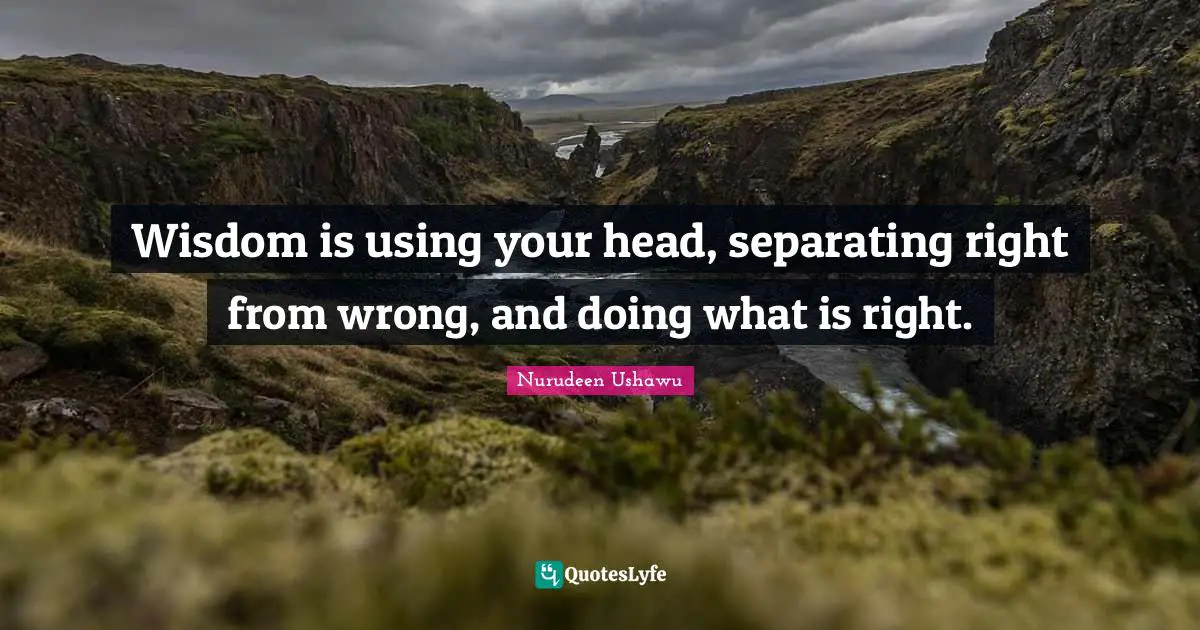 Wisdom is using your head, separating right from wrong, and doing what is right.