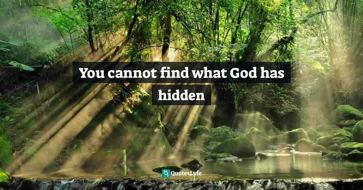 What You Deserve Quotes: "You cannot find what God has hidden"