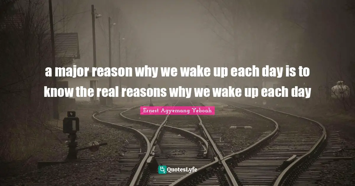 Why We Wake Up Quotes: "a major reason why we wake up each day is to know the real reasons why we wake up each day"