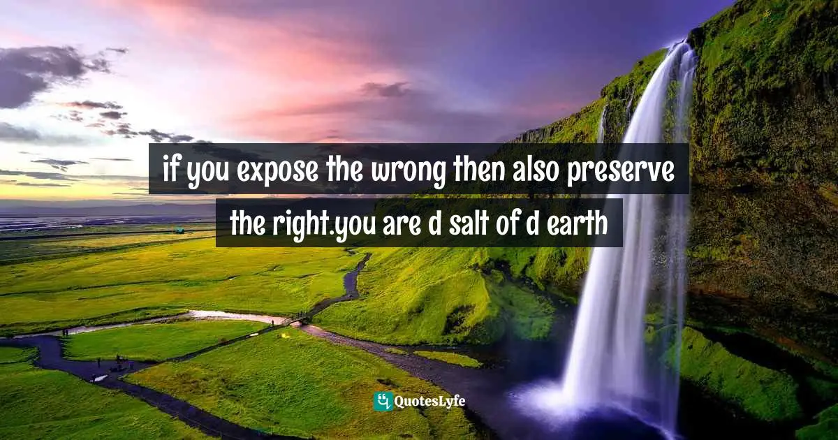 Ikechukwu Joseph, Knowledge, Understanding, Wisdom: The Tripartite Force In The Pursuit Of Divine Access Quotes: "if you expose the wrong then also preserve the right.you are d salt of d earth"