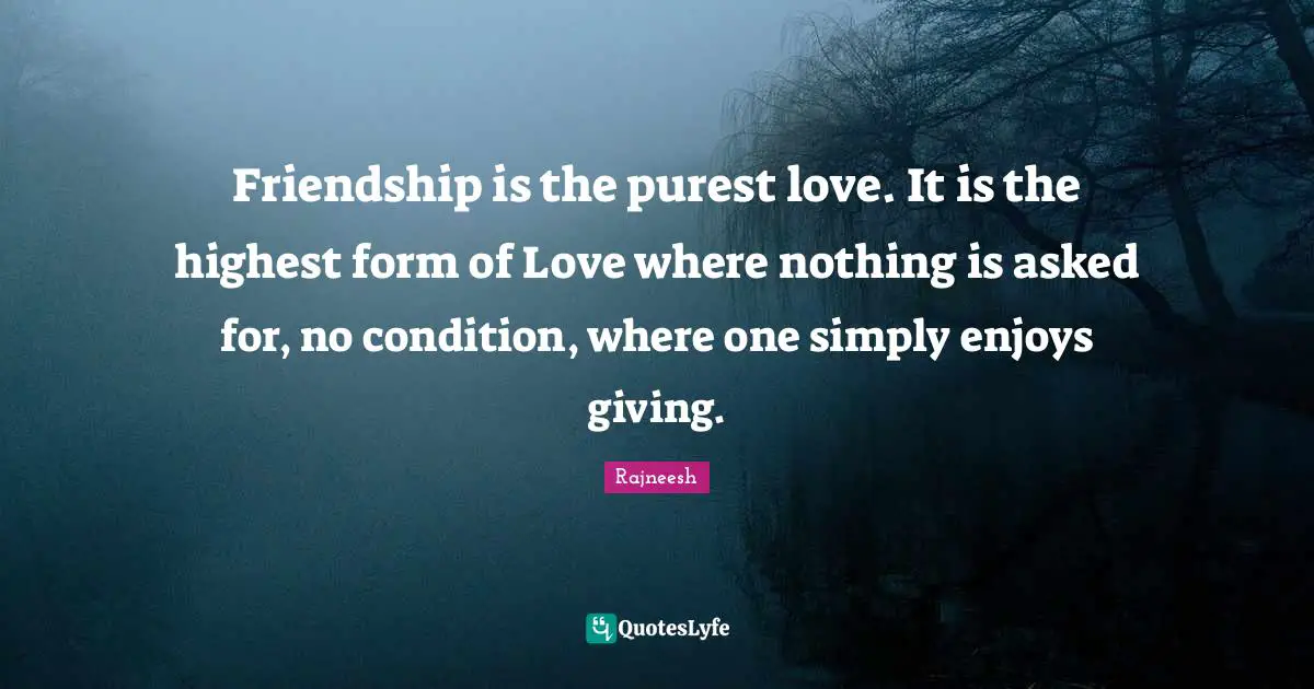 Friendship is the purest love. It is the highest form of Love where nothing is asked for, no condition, where one simply enjoys giving.