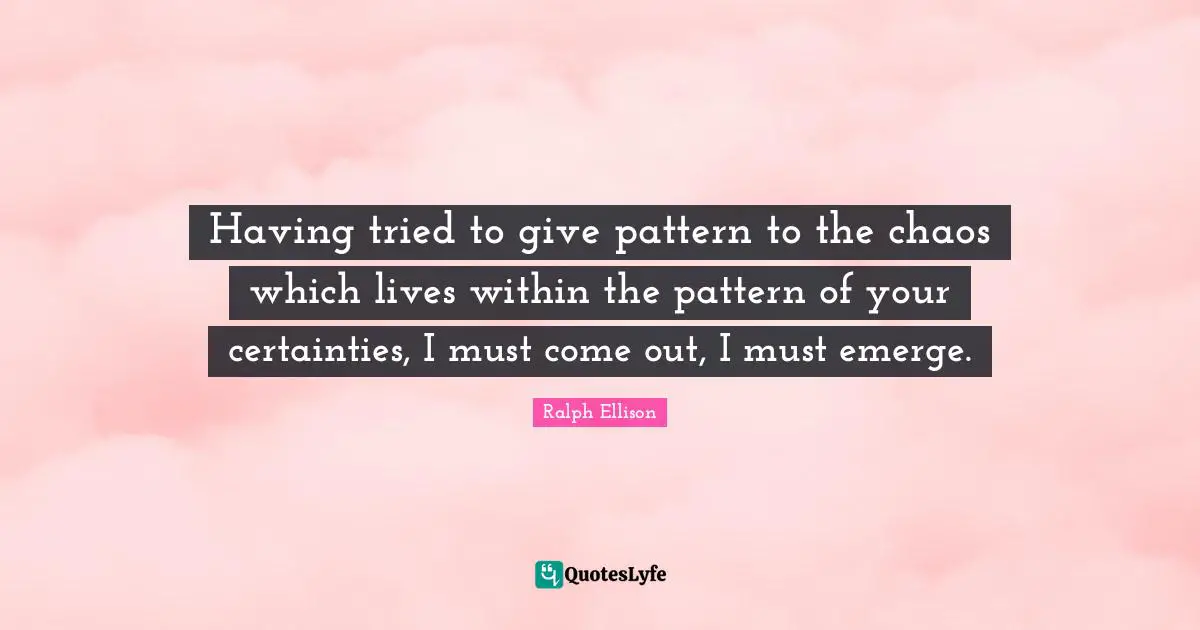 Having tried to give pattern to the chaos which lives within the pattern of your certainties, I must come out, I must emerge.