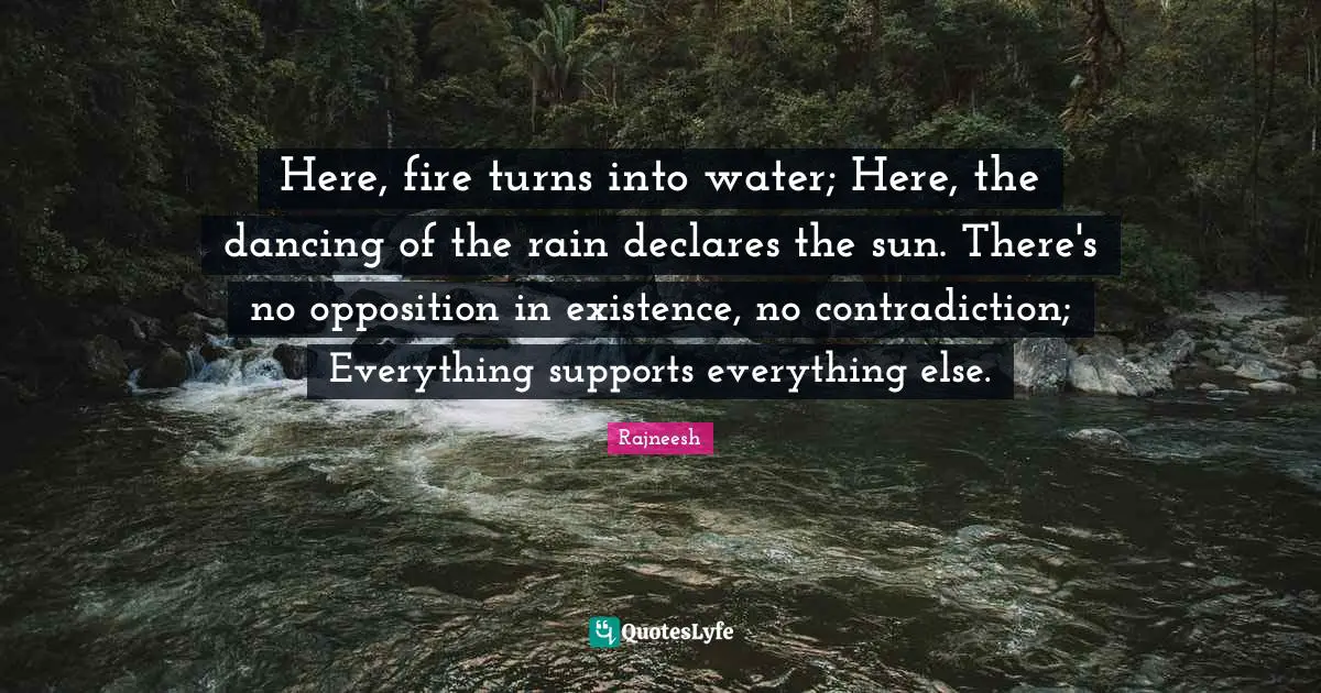 Here, fire turns into water; Here, the dancing of the rain declares the sun. There's no opposition in existence, no contradiction; Everything supports everything else.