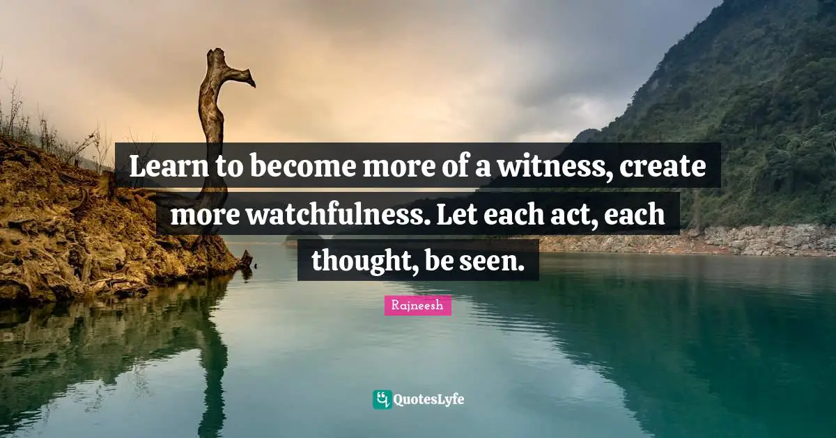 Learn to become more of a witness, create more watchfulness. Let each act, each thought, be seen.
