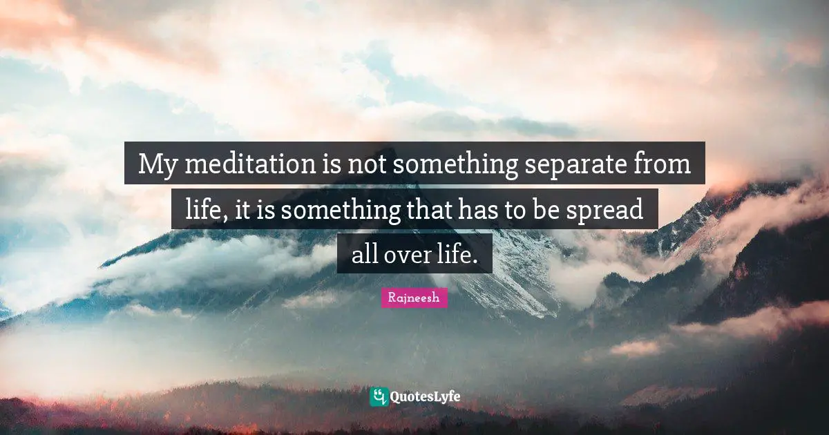 My meditation is not something separate from life, it is something that has to be spread all over life.