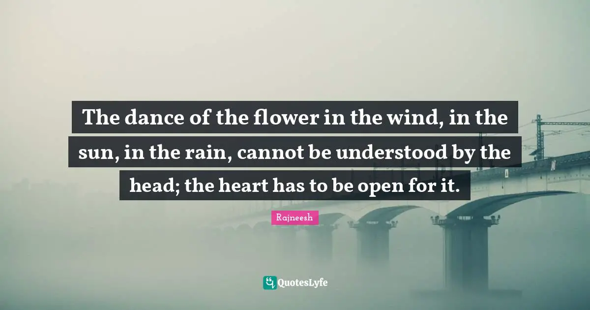 The dance of the flower in the wind, in the sun, in the rain, cannot be understood by the head; the heart has to be open for it.