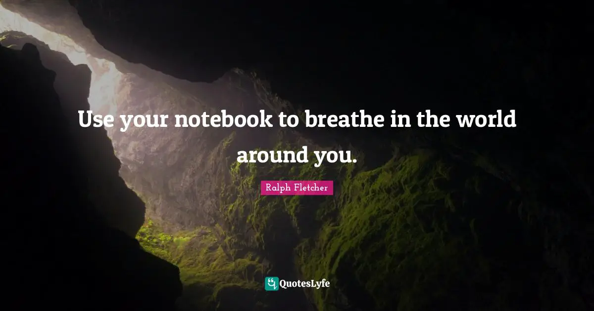 Use your notebook to breathe in the world around you.