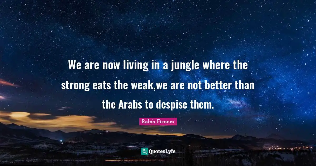 We are now living in a jungle where the strong eats the weak,we are not better than the Arabs to despise them.