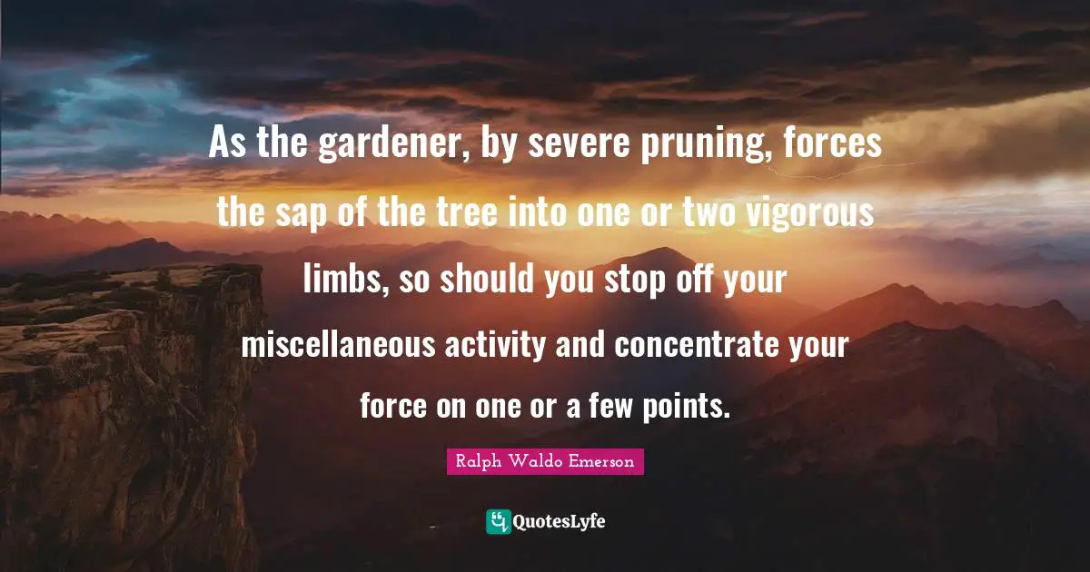 Miscellaneous Quotes: "As the gardener, by severe pruning, forces the sap of the tree into one or two vigorous limbs, so should you stop off your miscellaneous activity and concentrate your force on one or a few points."