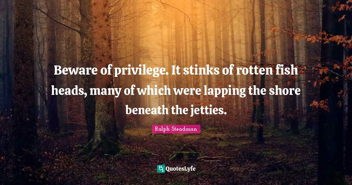 Beware of privilege. It stinks of rotten fish heads, many of which were lapping the shore beneath the jetties.
