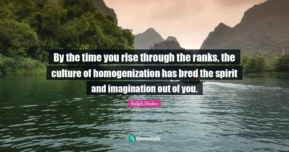 Ralph Nader Quotes: "By the time you rise through the ranks, the culture of homogenization has bred the spirit and imagination out of you."