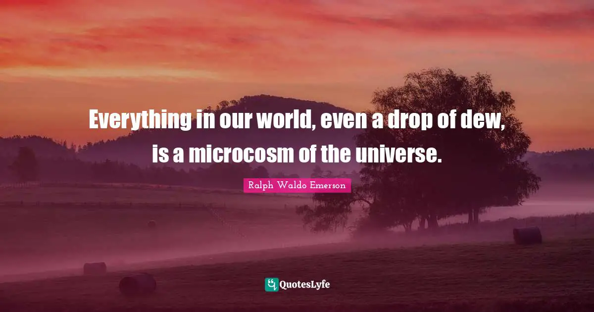 Dew Quotes: "Everything in our world, even a drop of dew, is a microcosm of the universe."