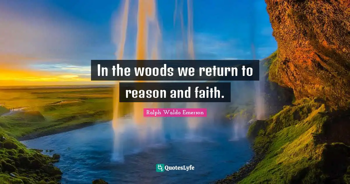 In the woods we return to reason and faith.