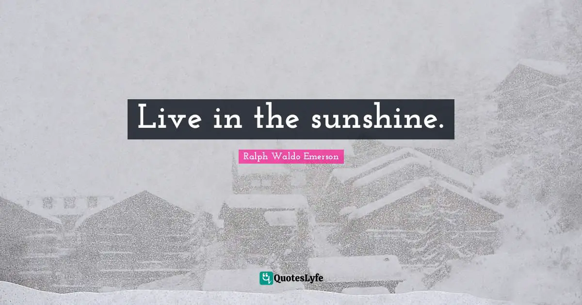 Live in the sunshine.