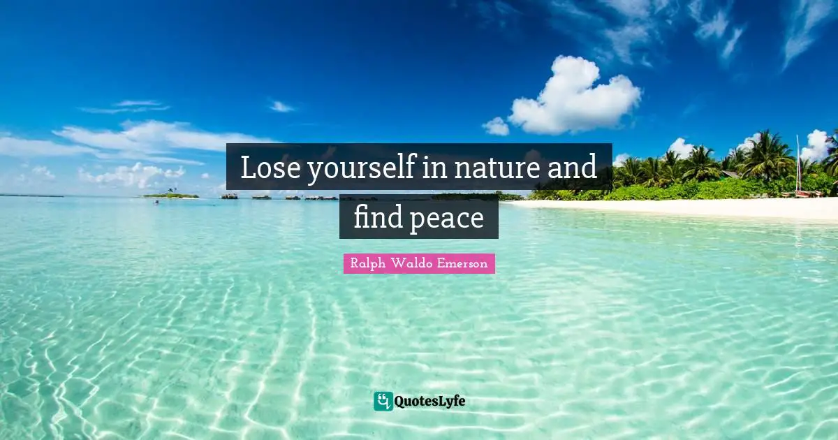 Lose yourself in nature and find peace